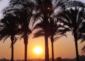 ايڨيلين موريس تكتب صمت الأفق