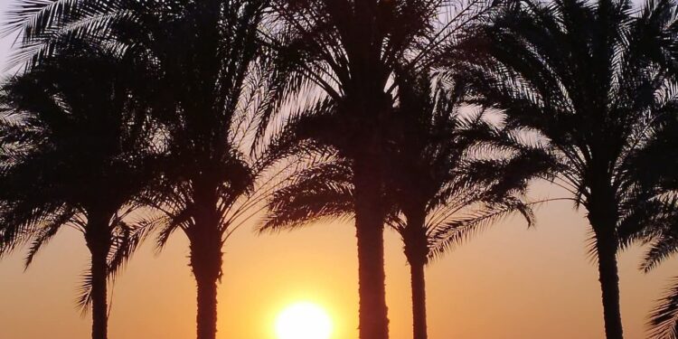 ايڨيلين موريس تكتب صمت الأفق