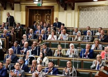 وزير الشئون النيابية يحضر جلسة النواب لمناقشة قانون ملكية الدولة في الشركات