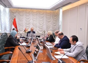 بـ “الفيديو كونفرانس”..  وزير العمل يشهد اجتماع اللجنة المصرية / الأردنية المعنية بتنقل العمالة بين البلدين