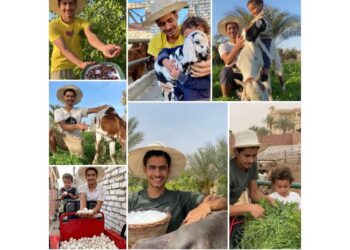 أحمد السمالوسي يغيّر مفهوم الزراعة في مصر.. كيف أعاد الشباب إلى الأرض؟