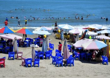 أحمد السمالوسي يغيّر مفهوم الزراعة في مصر.. كيف أعاد الشباب إلى الأرض؟