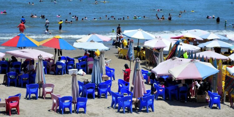 أحمد السمالوسي يغيّر مفهوم الزراعة في مصر.. كيف أعاد الشباب إلى الأرض؟