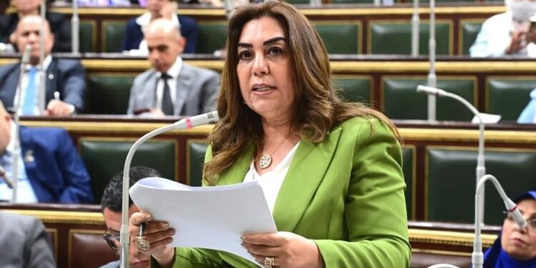 وزيرة التنمية المحلية أمام النواب: مناقشة اتفاقية لإنشاء مركز محاكاة وتدريب متكامل في مصر