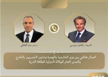 اتصال هاتفي بين وزير الخارجية والهجرة ومدير عام الوكالة الدولية للطاقة الذرية
