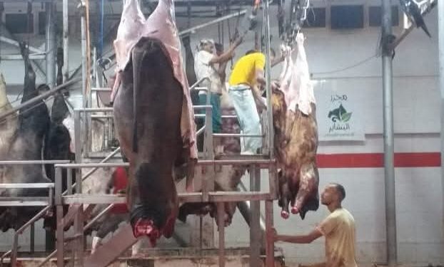 فتح ٢٣ مجزرًا مجانًا خلال أيام عيد الأضحى المبارك تحفيزًا لذبح الأضاحي داخل المجازر