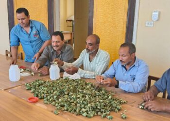 وكيل وزارة الزراعة بالفيوم يتابع الفحصة الاولي بالرشة الاولى للرش الوقائي للقطن 