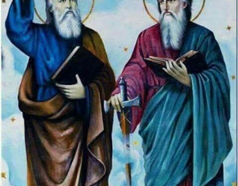 عيد الرسل عيد البذور التي أثمرت إيمانًا وحياة