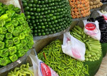 إنخفاض الخضروات وأستقرار الفاكهه اليوم الخميس 2025/7/17