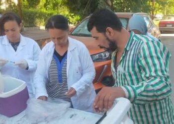 برنامج تعقيم الكلاب الضالة بالجيزة حفاظًا على سلامة المواطنين