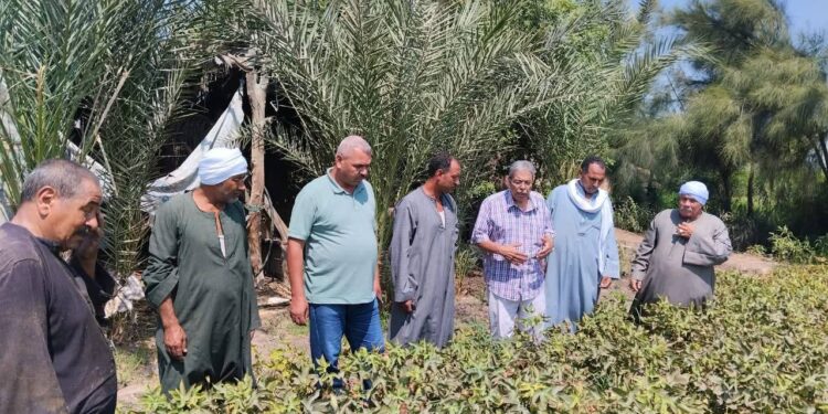 ندوة إرشادية عن محصول القطن بالتعاون مع الإرشاد الزراعي والمكافحه بالفيوم 