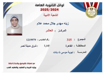 محافظة القاهرة تحصد ثلث المراكز الأولى على مستوى الجمهورية 