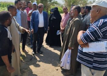 مديريه الزراعه بالفيوم: حقل عن تكثيف محصول فول الصويا على ذرة رفيعة باطسا