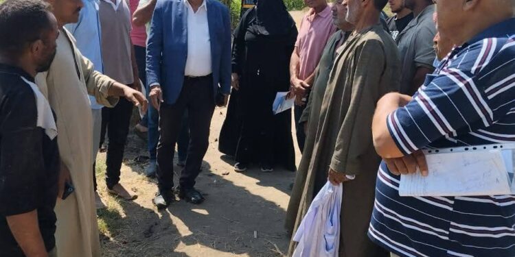 مديريه الزراعه بالفيوم: حقل عن تكثيف محصول فول الصويا على ذرة رفيعة باطسا