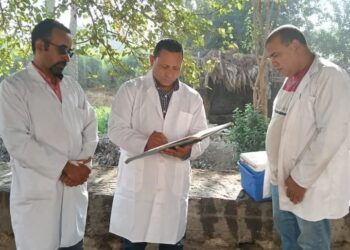 تحصين ٤٢ ألف رأس ماشية بالجيزة ضمن الحملة القومية للحفاظ على الثروة الحيوانية