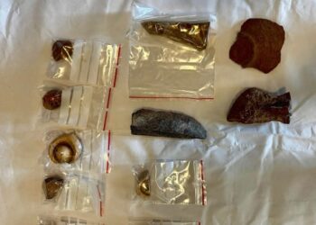 مصر تستعيد قطعًا أثرية هامة من هولندا تعود إلى عصور مختلفة من الحضارة المصرية