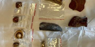 مصر تستعيد قطعًا أثرية هامة من هولندا تعود إلى عصور مختلفة من الحضارة المصرية