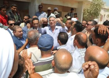 وزير الزراعة يهنئ فلاحي مصر في عيدهم ويؤكد على دورهم المحوري في التنمية 