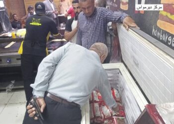  54 محضراً تموينياً متنوعاً خلال حملات رقابية لمراكز المنيا 