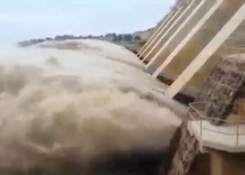 متحدث “الـري” : السد العالي صمام الأمان لإدارة المياه  طوال العام