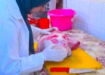 ضبط 197 كيلو لحوم وأسماك غير صالحة في حملات تفتيشية للطب البيطري بسوهاج