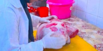 ضبط 197 كيلو لحوم وأسماك غير صالحة في حملات تفتيشية للطب البيطري بسوهاج