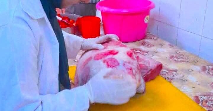 ضبط 197 كيلو لحوم وأسماك غير صالحة في حملات تفتيشية للطب البيطري بسوهاج 