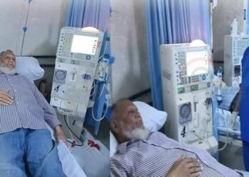 شجون حسن تكتب : صفعة على وجه الإنسانية