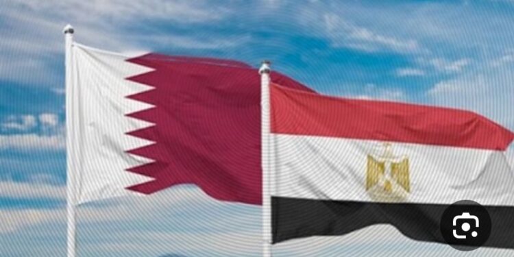 القناة 14 الإسرائيلية تعلن عن رصد “تحالفا” بين مصر وقطر لتهديد إسرائيل من “الحديقة الخلفية”