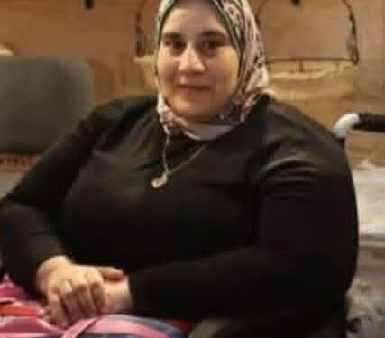 حقوق الإنسان كرامة متأصلة ومبادئ راسخة